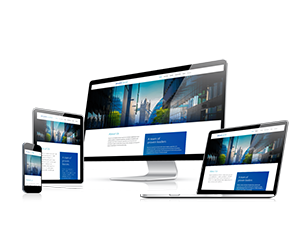 desarrollo web