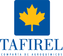 logo tafirel