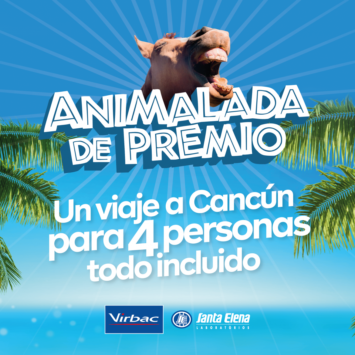 virbac animalada de premio