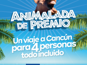 Animalada de Premio de Virbac