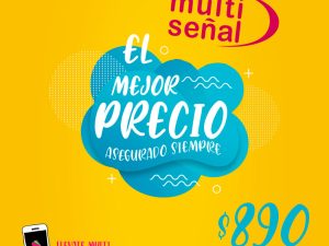 Llegó el Verano a Multiseñal