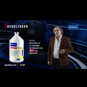 Elecciones Rurales