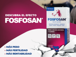 DESCUBRA EL EFECTO FOSFOSAN de Virbac